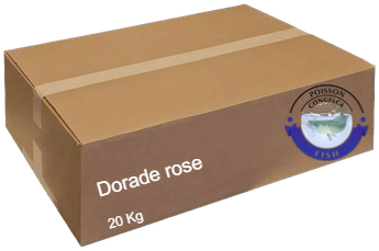 Dorade rose 20 Kg