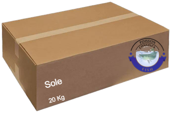 Sole 20 Kg