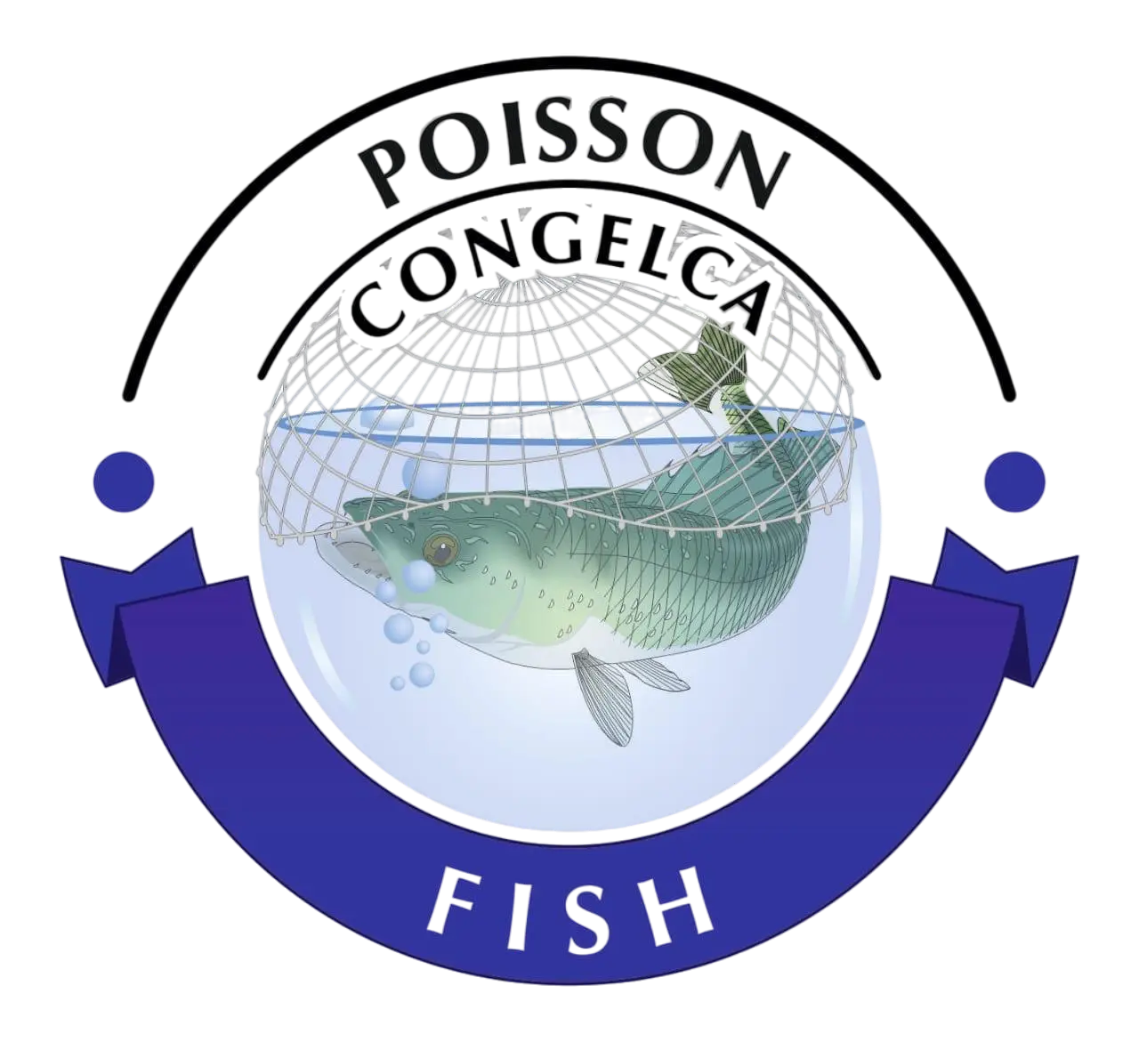 My Website